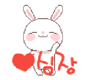 BJ사진